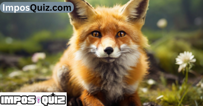 how to get fox on earth day quiz